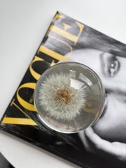 SALE - Dandelion Sphere L 1