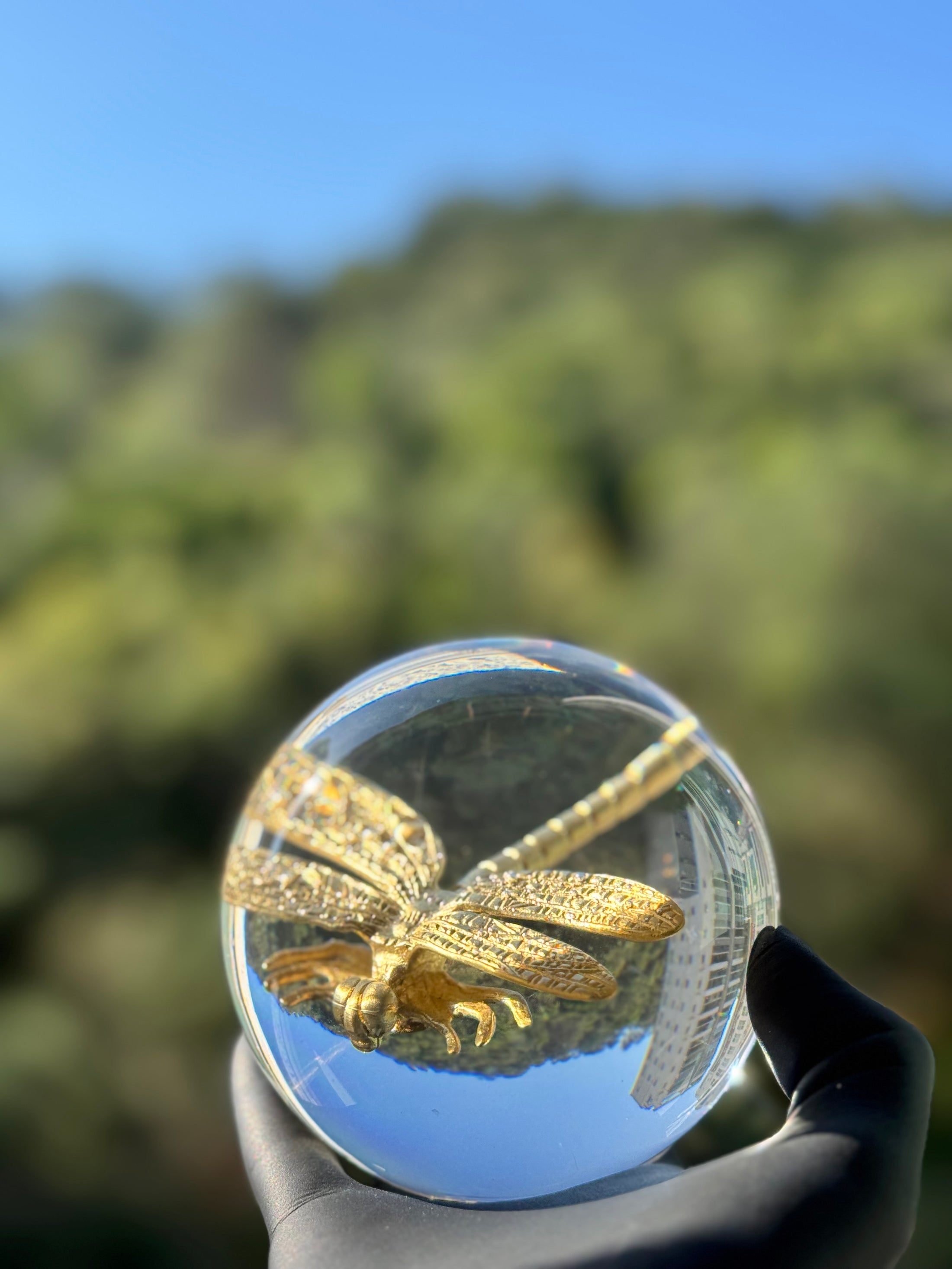 Dragonfly Sphere Lamp L