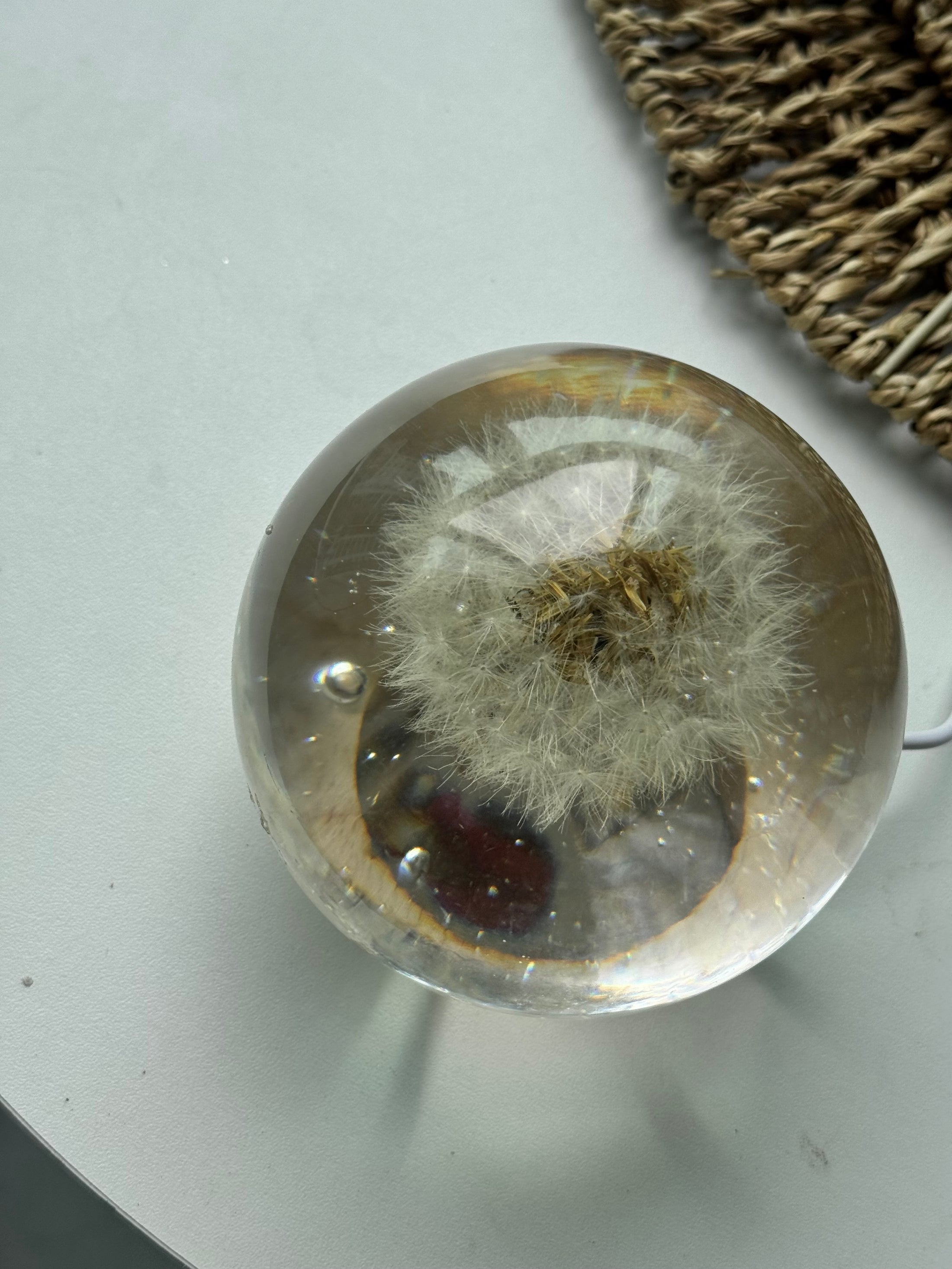 [OUTLET] FINAL SALE! Large Dandelion Sphere – Imperfect Preservation
