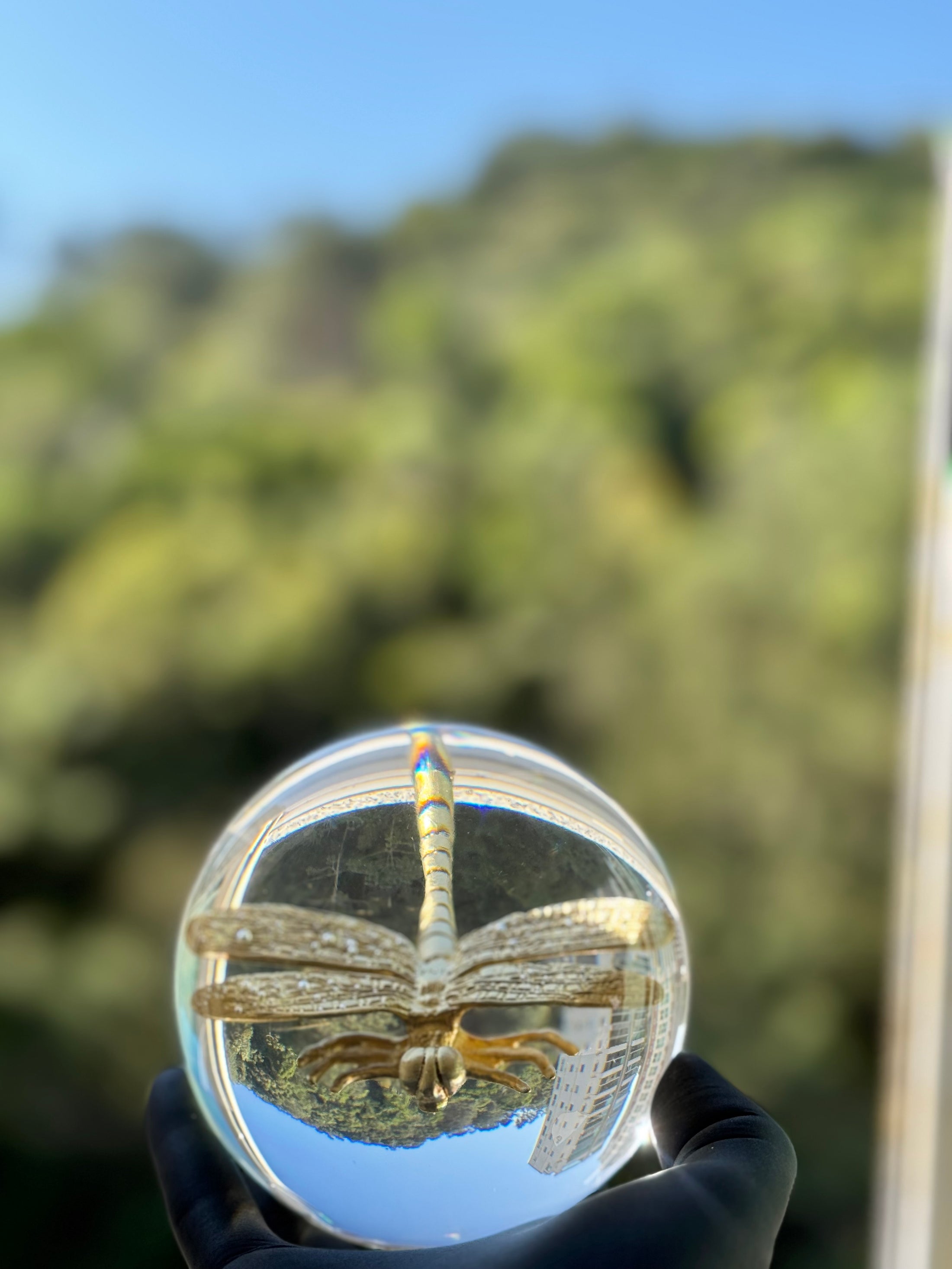 Dragonfly Sphere Lamp L