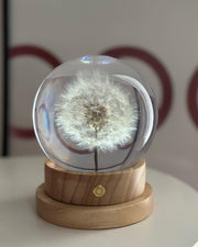 Dandelion Sphere Lamp L 10cm