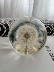 Dandelion Sphere Lamp L 10cm