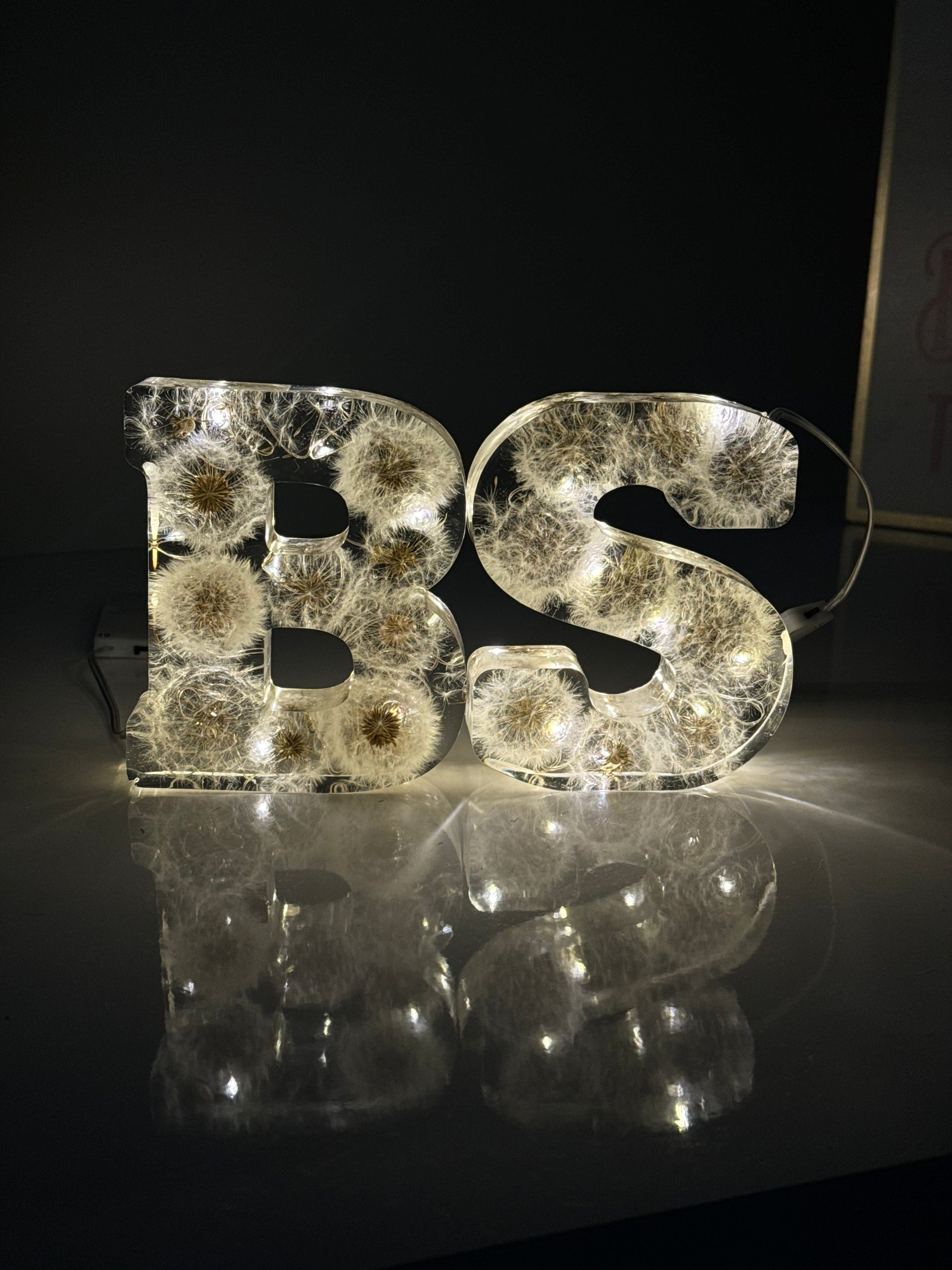 Initial with Dandelions & Fairy Lights - 10 cm
