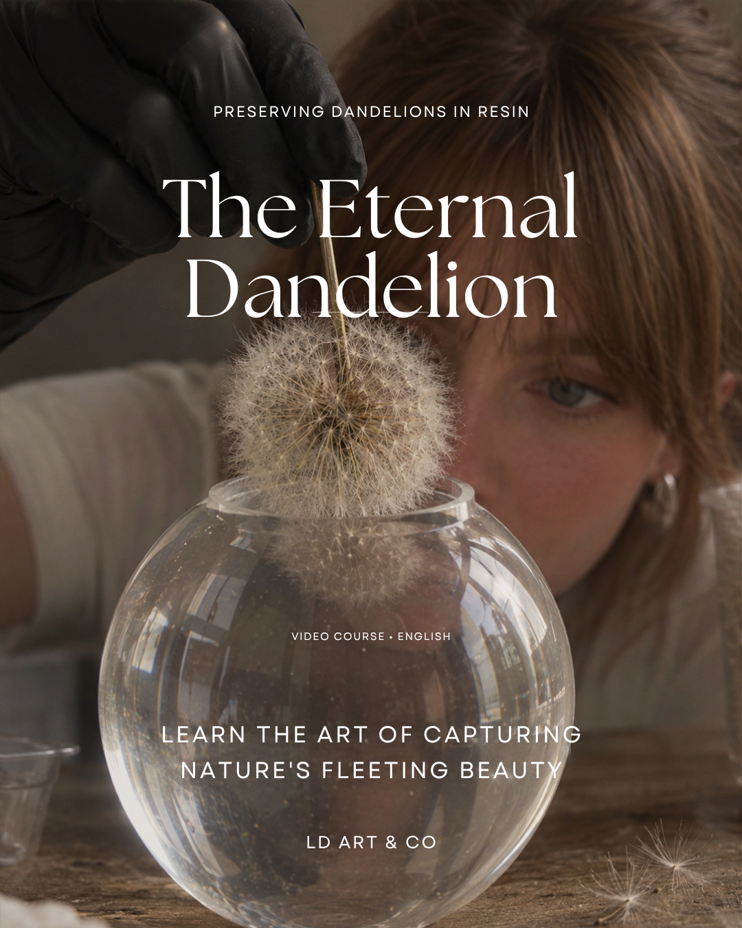 ENGLISH Course Preserving the Dandelion - Learn how to make it ethernal