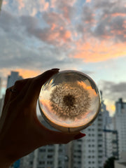 Dandelion Sphere Lamp L 10cm