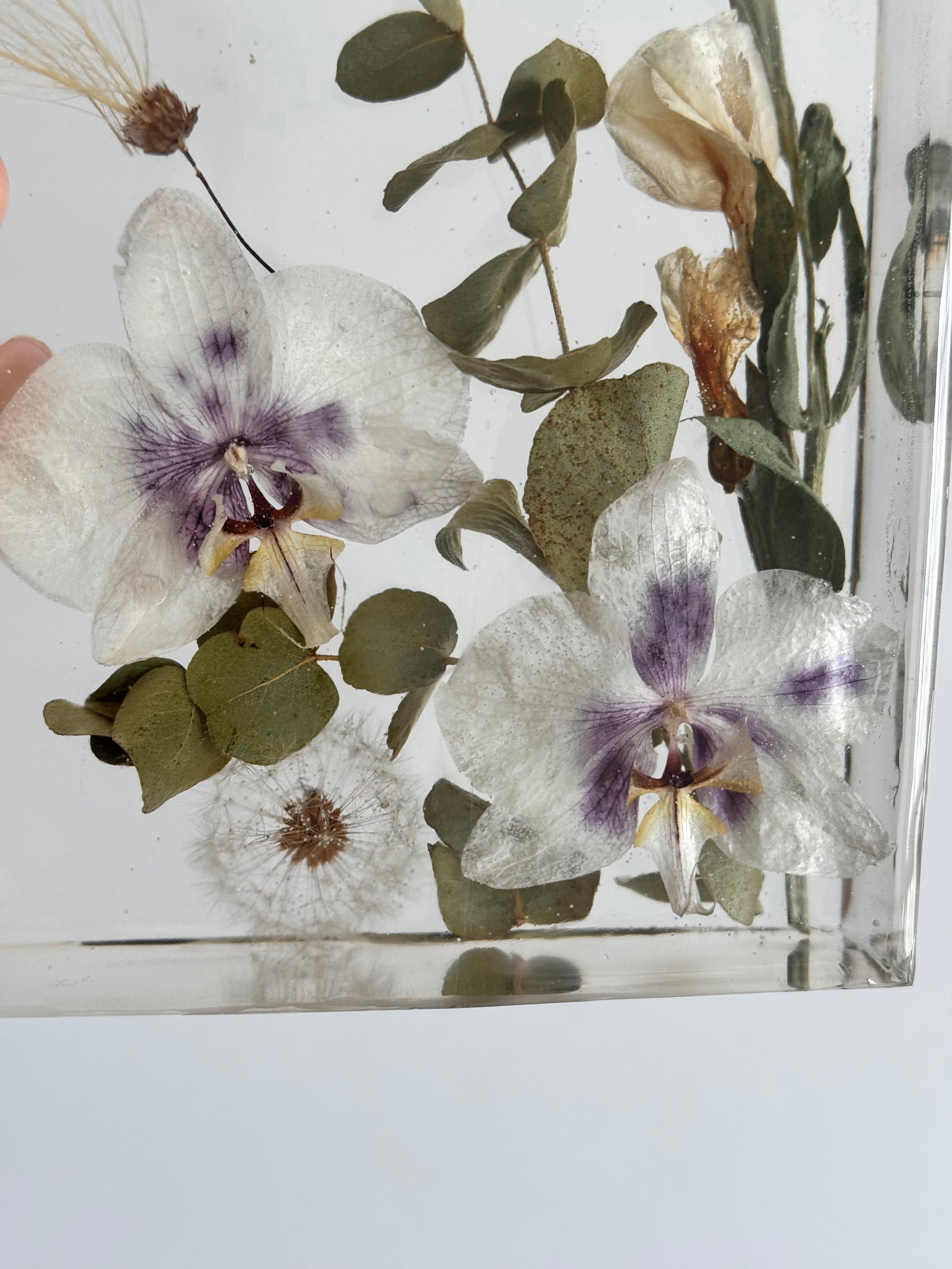 Eternal Dandelion Orchid Crystal Design Cube Lamp