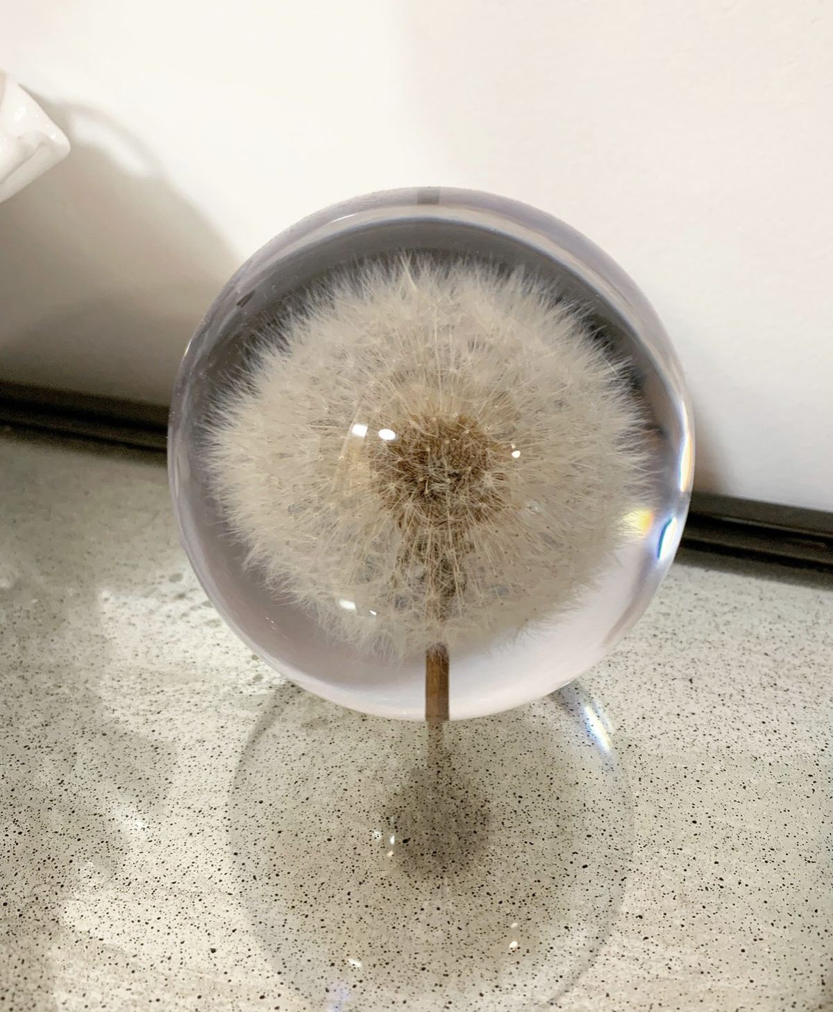 Sophie's illuminated dandelion sphere
