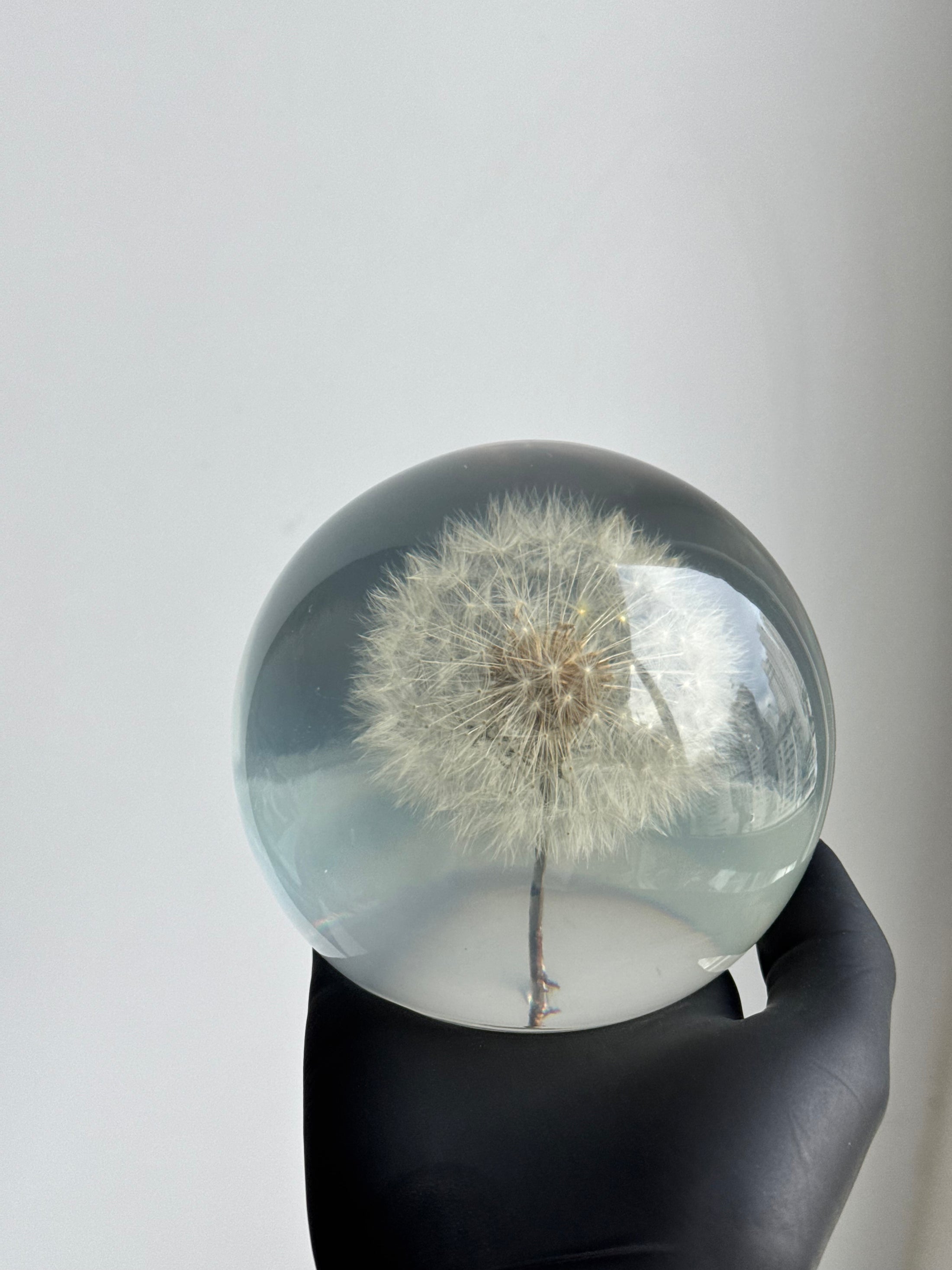 [OUTLET] Dandelion Sphere (Size L) - Imperfection: Dreamy Mist Effect