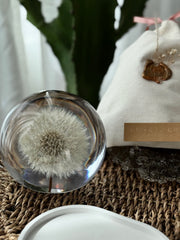 Dandelion Sphere Lamp L 10cm