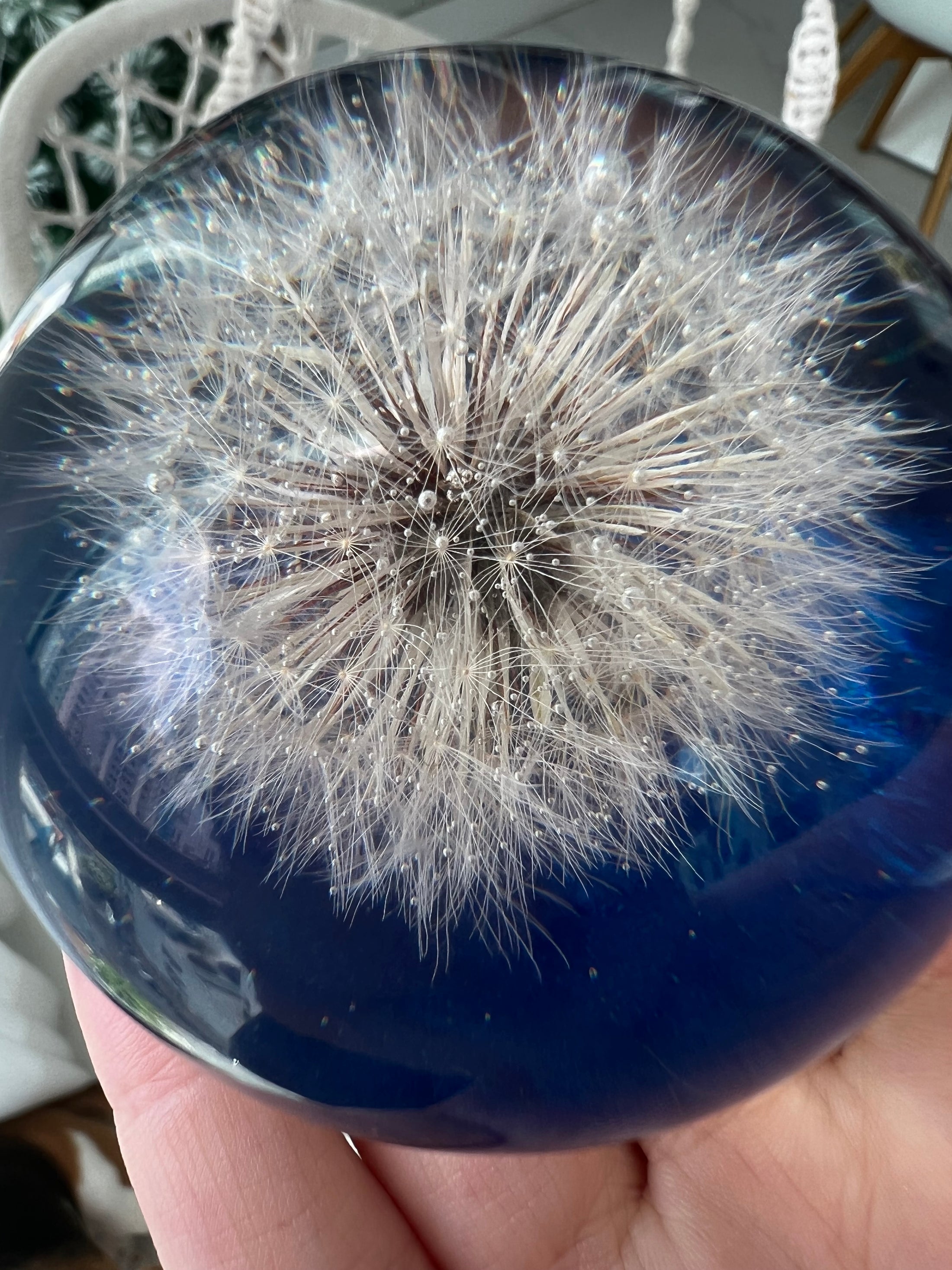 Dandelion Lamp Size M Sphere with Color