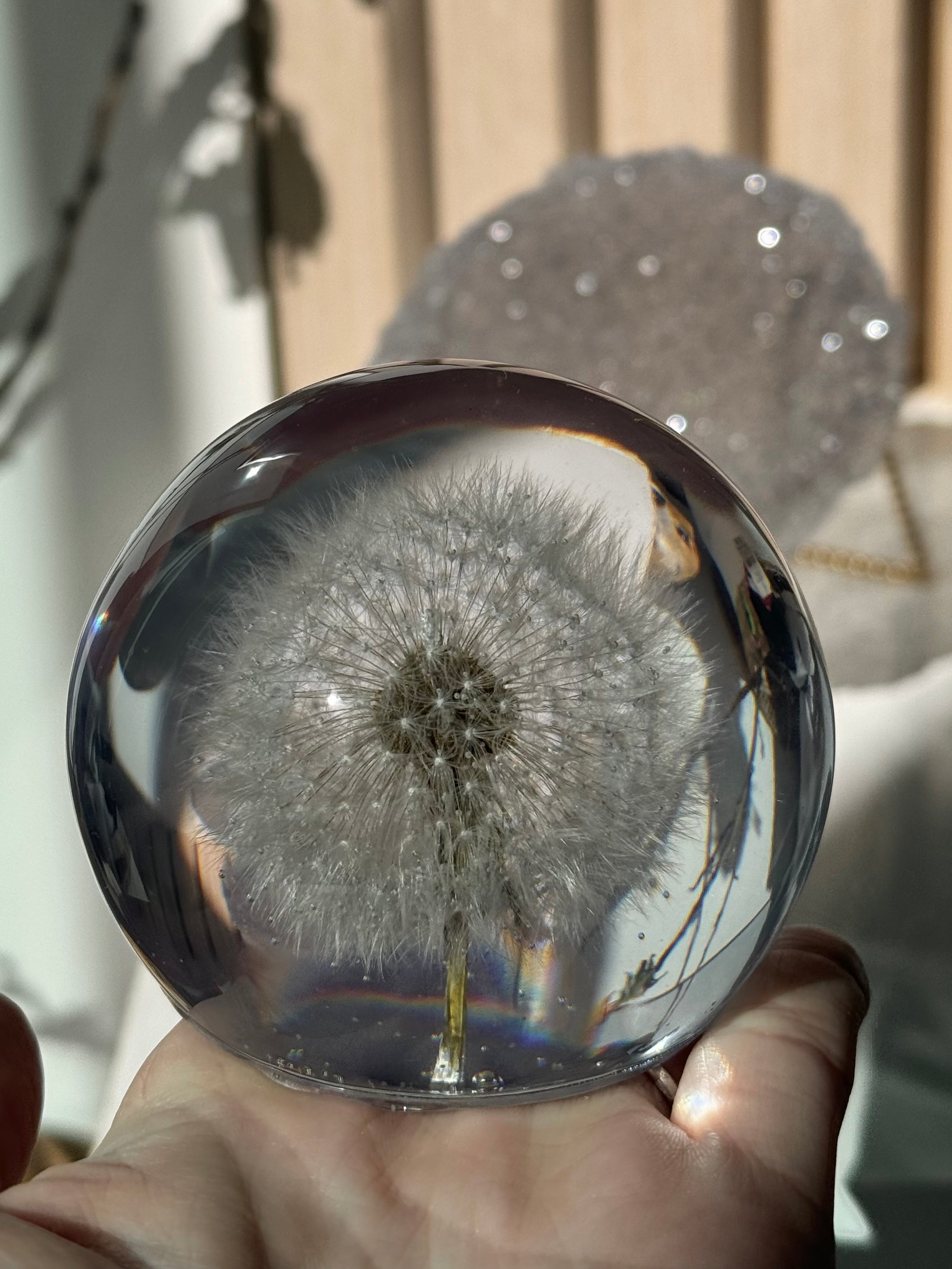 Dandelion Sphere Lamp L 10cm