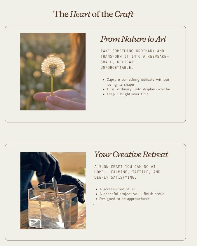ENGLISH Course Preserving the Dandelion - Learn how to make it ethernal