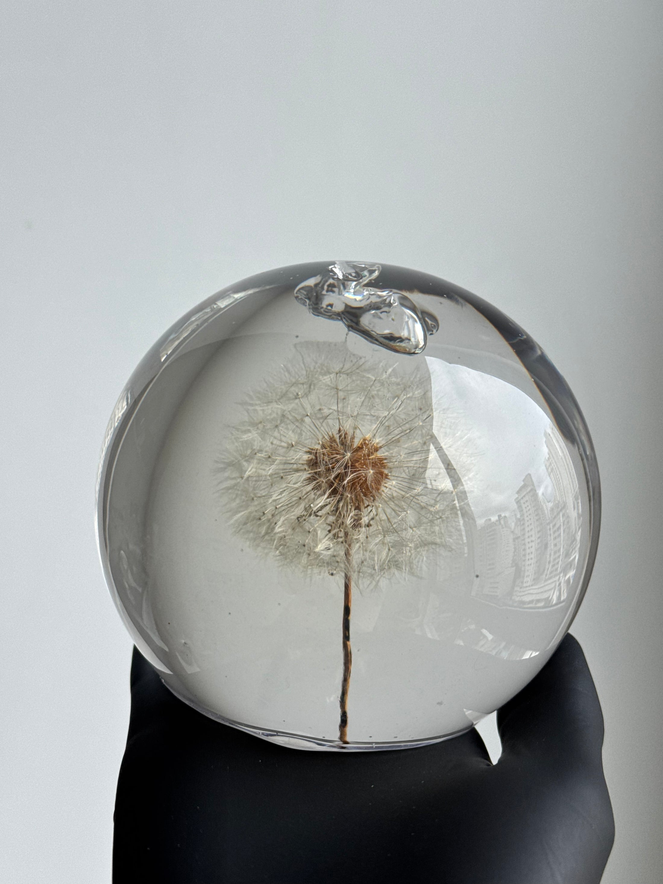 [OUTLET] Dandelion Sphere (10cm) - Detail: Top Bubble Feature