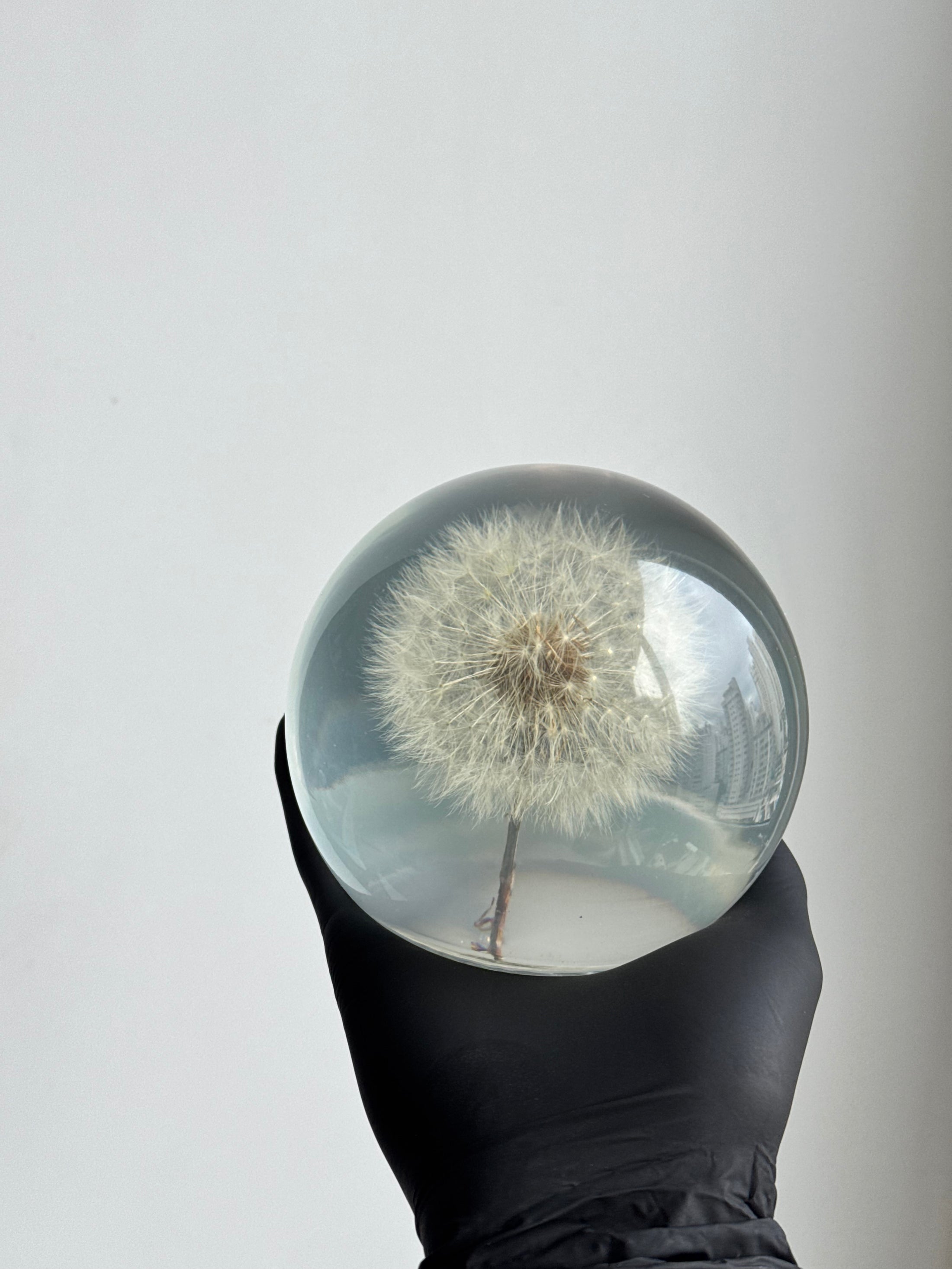 [OUTLET] Dandelion Sphere (Size L) - Imperfection: Dreamy Mist Effect