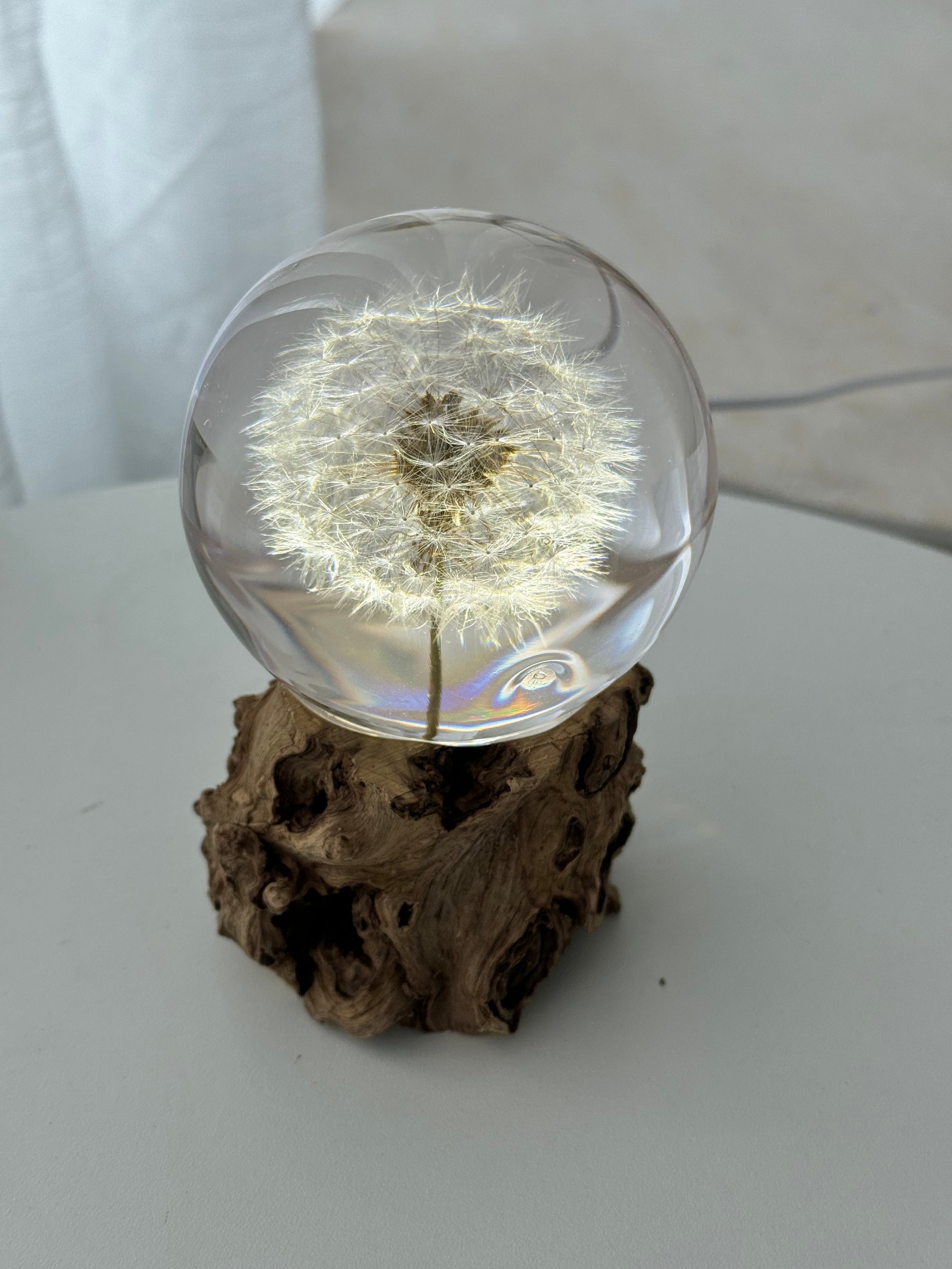 Dandelion Lamp Sphere - Choose your size