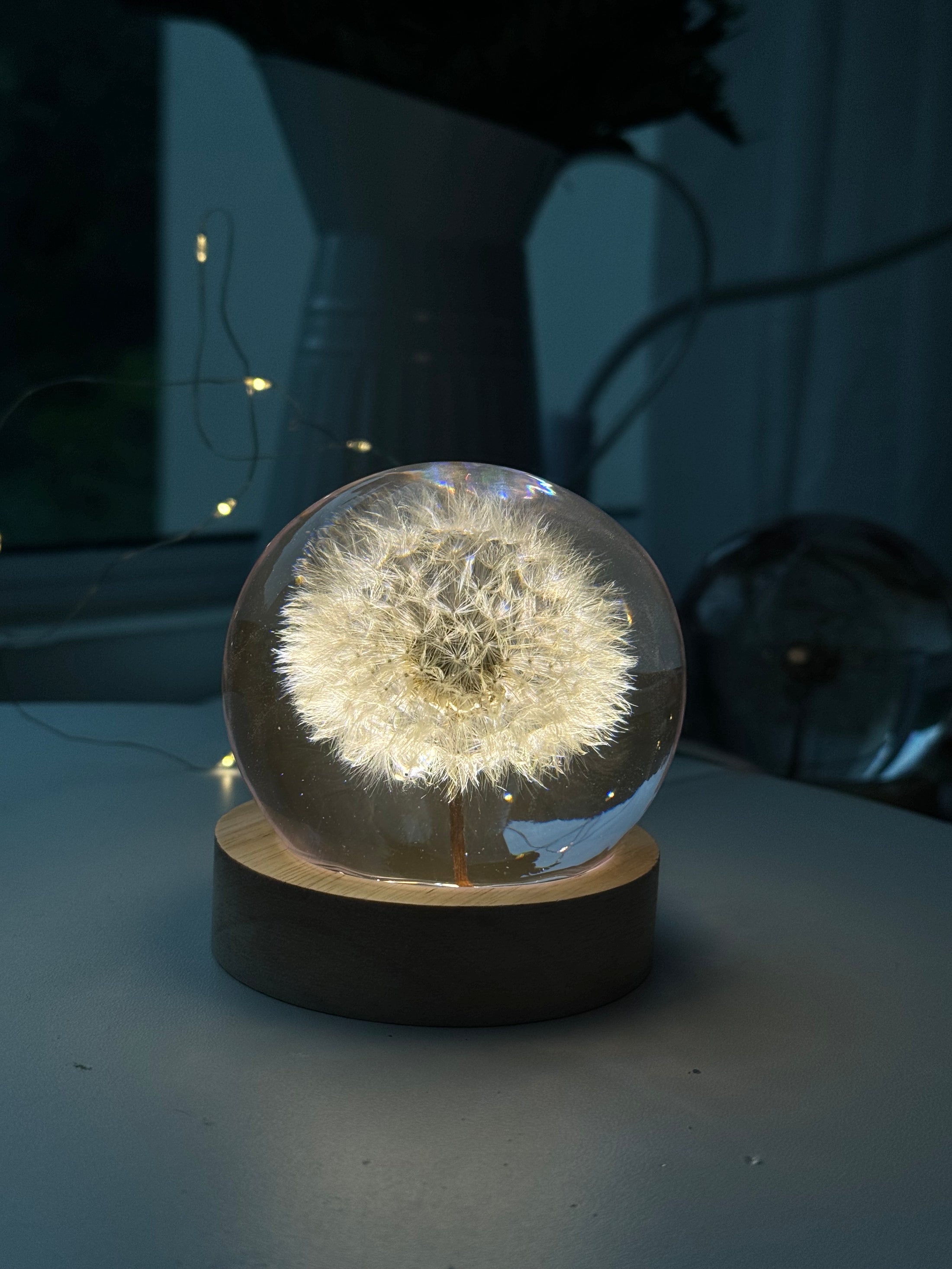 Dandelion lamps displayed in the studio