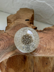 Dandelion mini Sphere - Special Technique “Details” (2 cm)