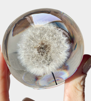 Dandelion Lamp Sphere - Choose your size