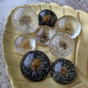 Dandelion mini Sphere - Special Technique “Details” (2 cm)