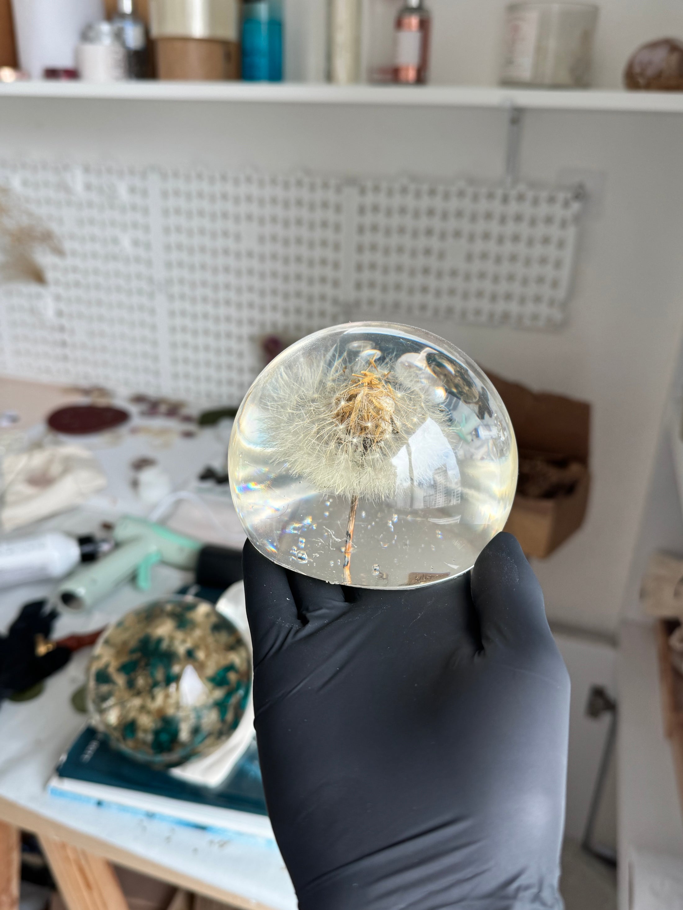 [OUTLET] FINAL SALE! Large Dandelion Sphere – Imperfect Preservation