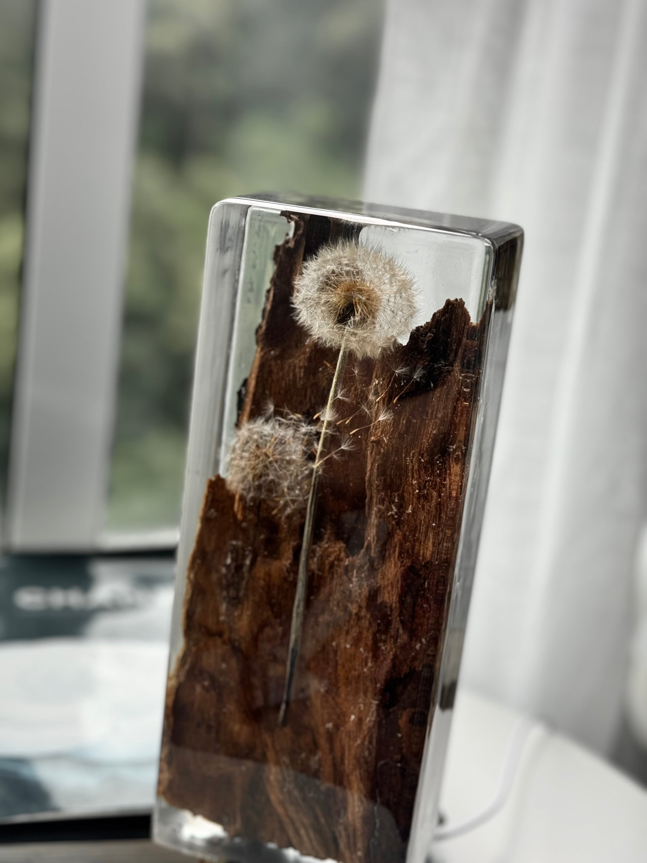 Dandelion Resin Lamp with Natural Wood - Ready to Ship