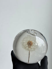 [OUTLET] Dandelion Sphere (10cm) - Detail: Top Bubble Feature