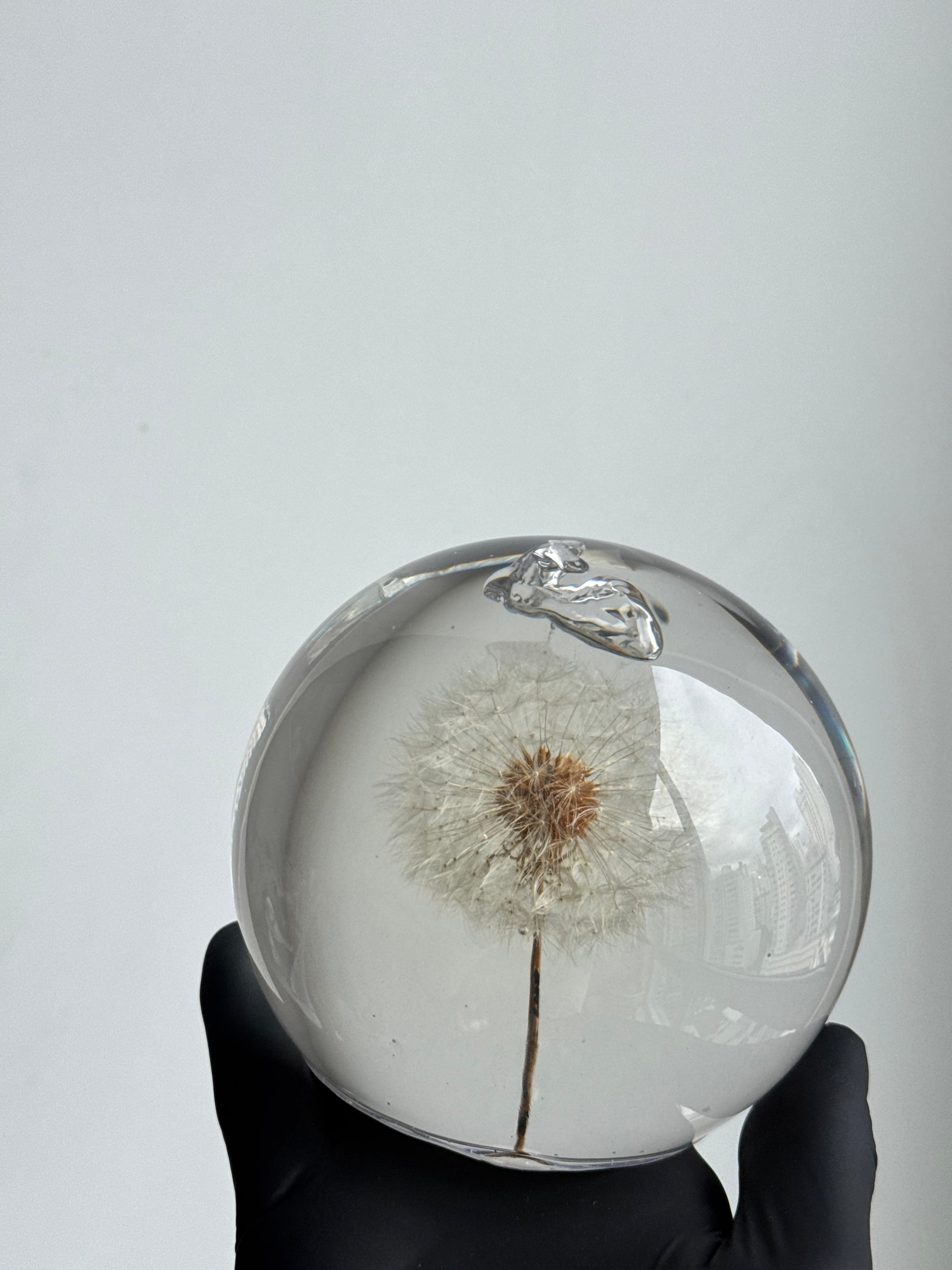 [OUTLET] Dandelion Sphere (10cm) - Detail: Top Bubble Feature