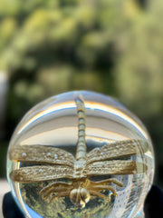 Dragonfly Sphere Lamp L