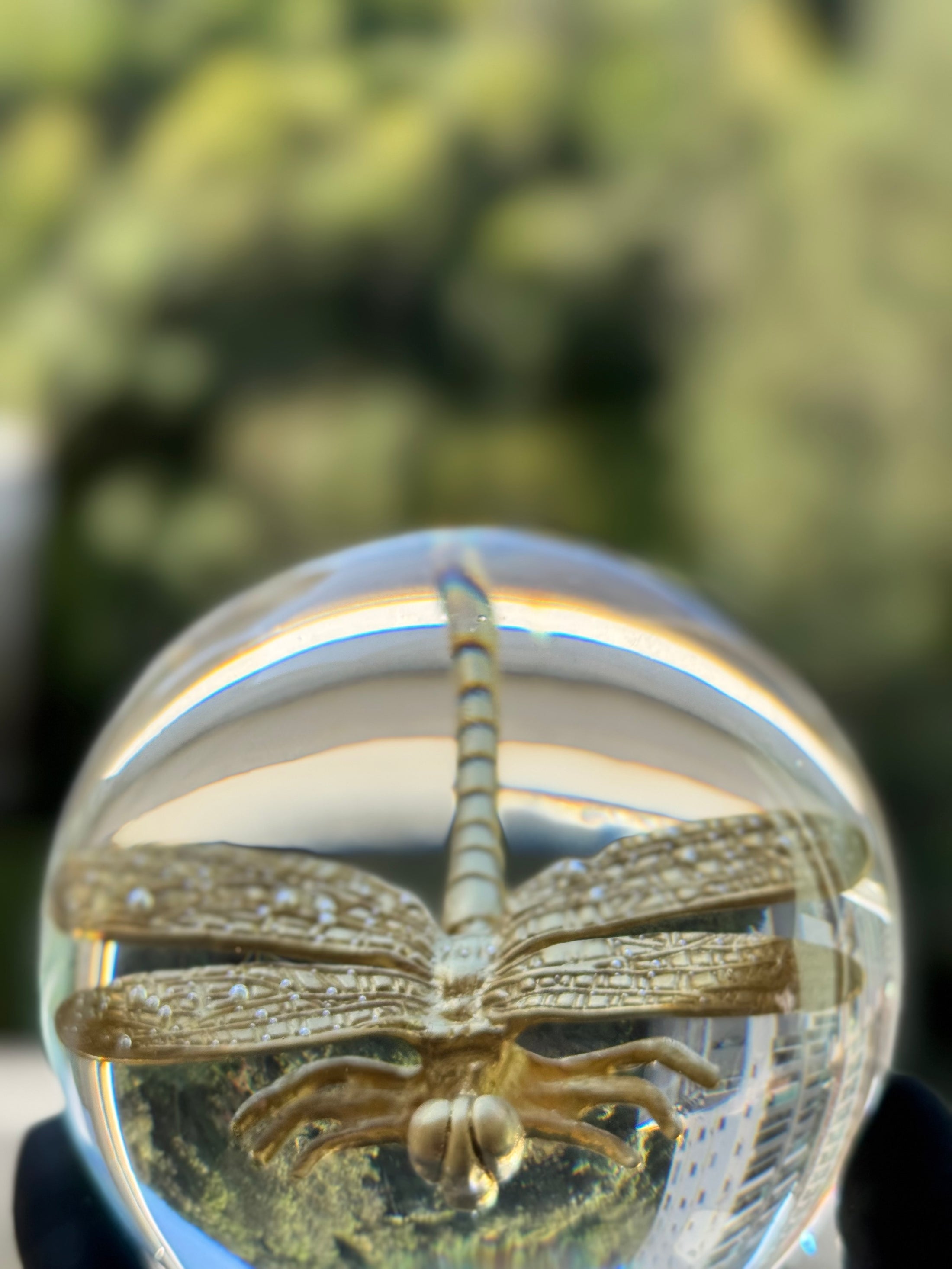 Dragonfly Sphere Lamp L