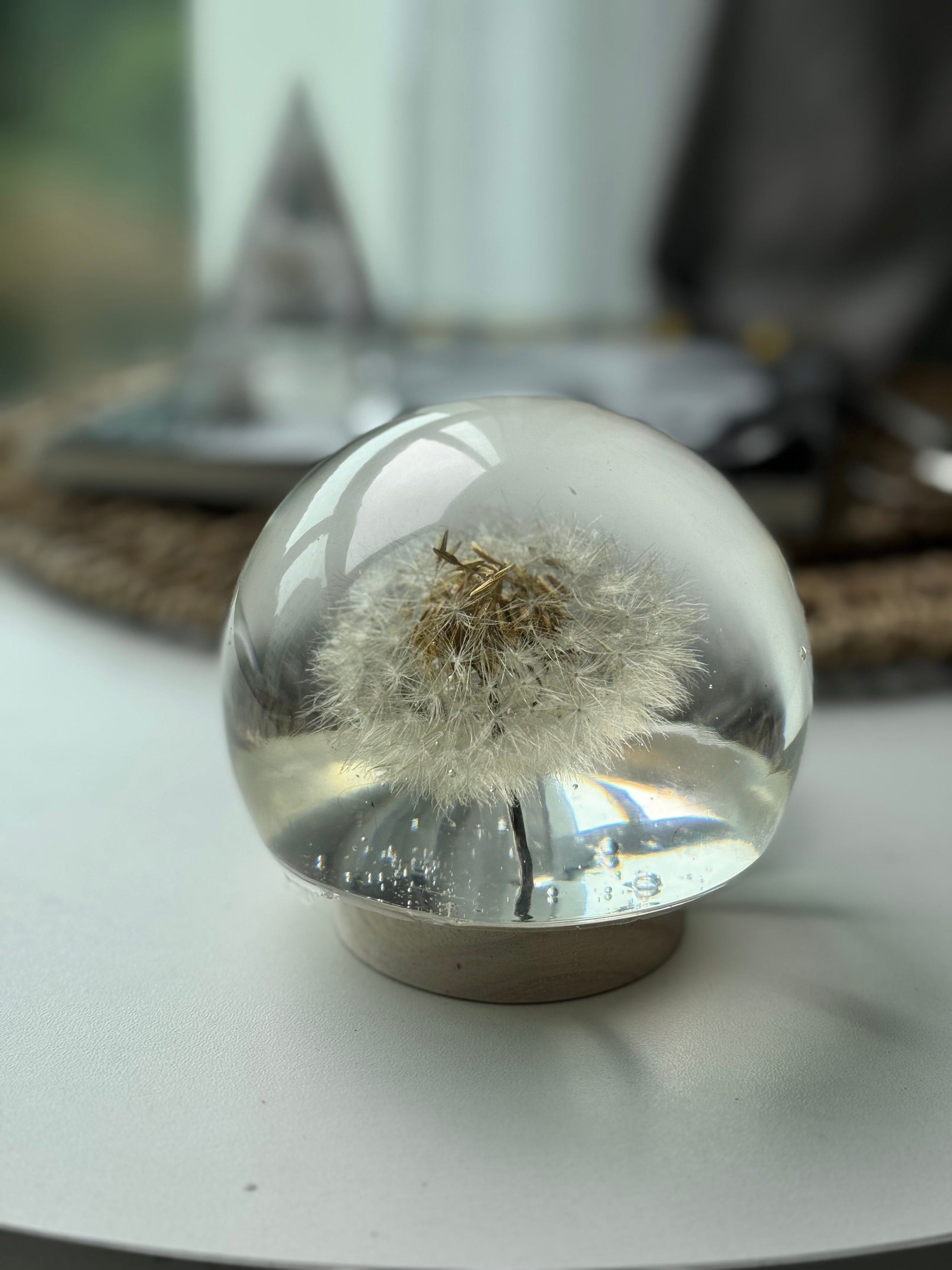 [OUTLET] FINAL SALE! Large Dandelion Sphere – Imperfect Preservation