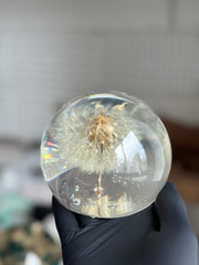 [OUTLET] FINAL SALE! Large Dandelion Sphere – Imperfect Preservation