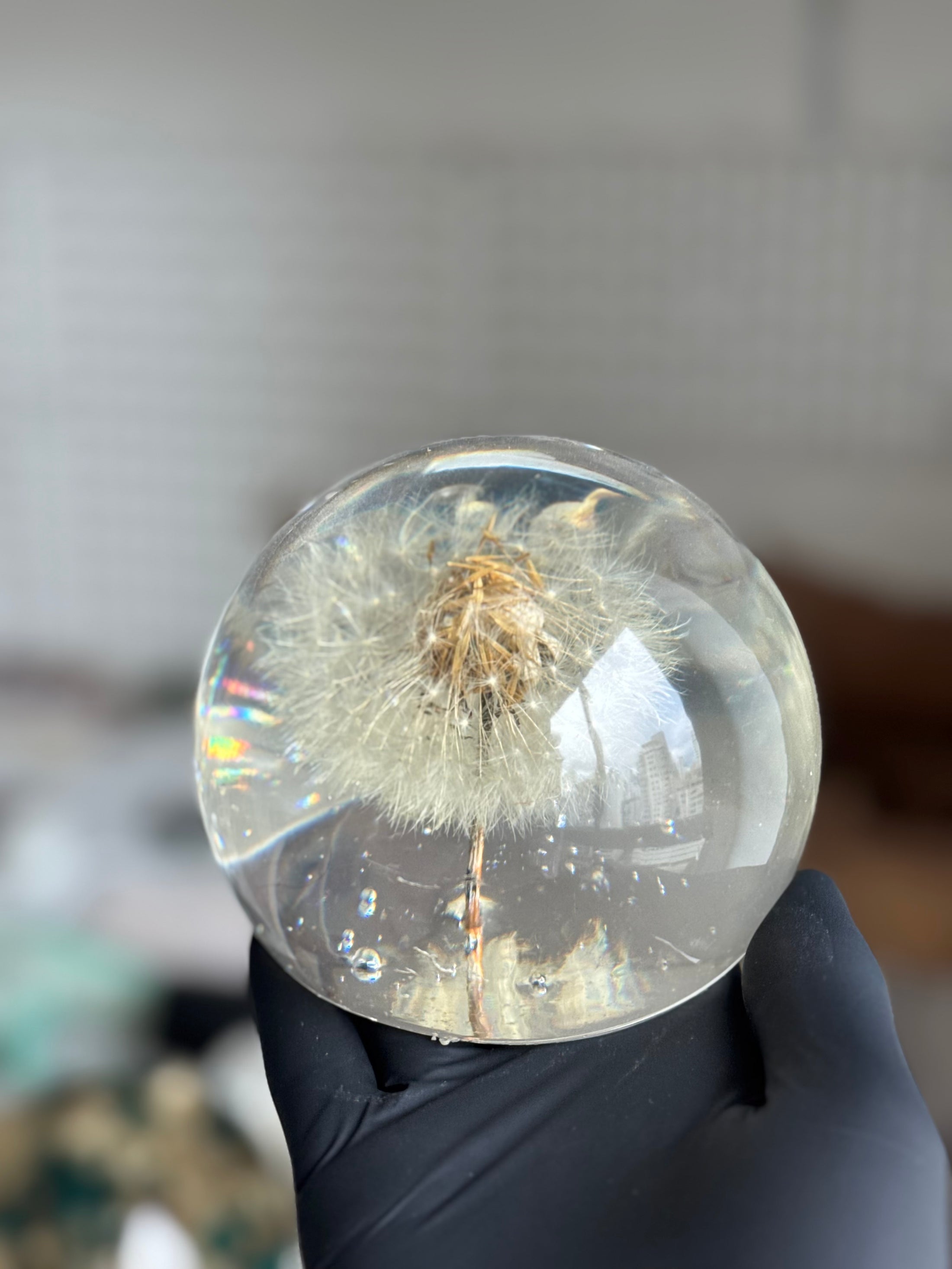 [OUTLET] FINAL SALE! Large Dandelion Sphere – Imperfect Preservation