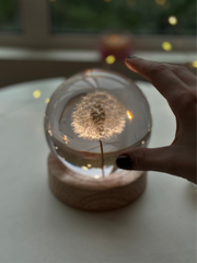 Dandelion Sphere Lamp XL 12cm