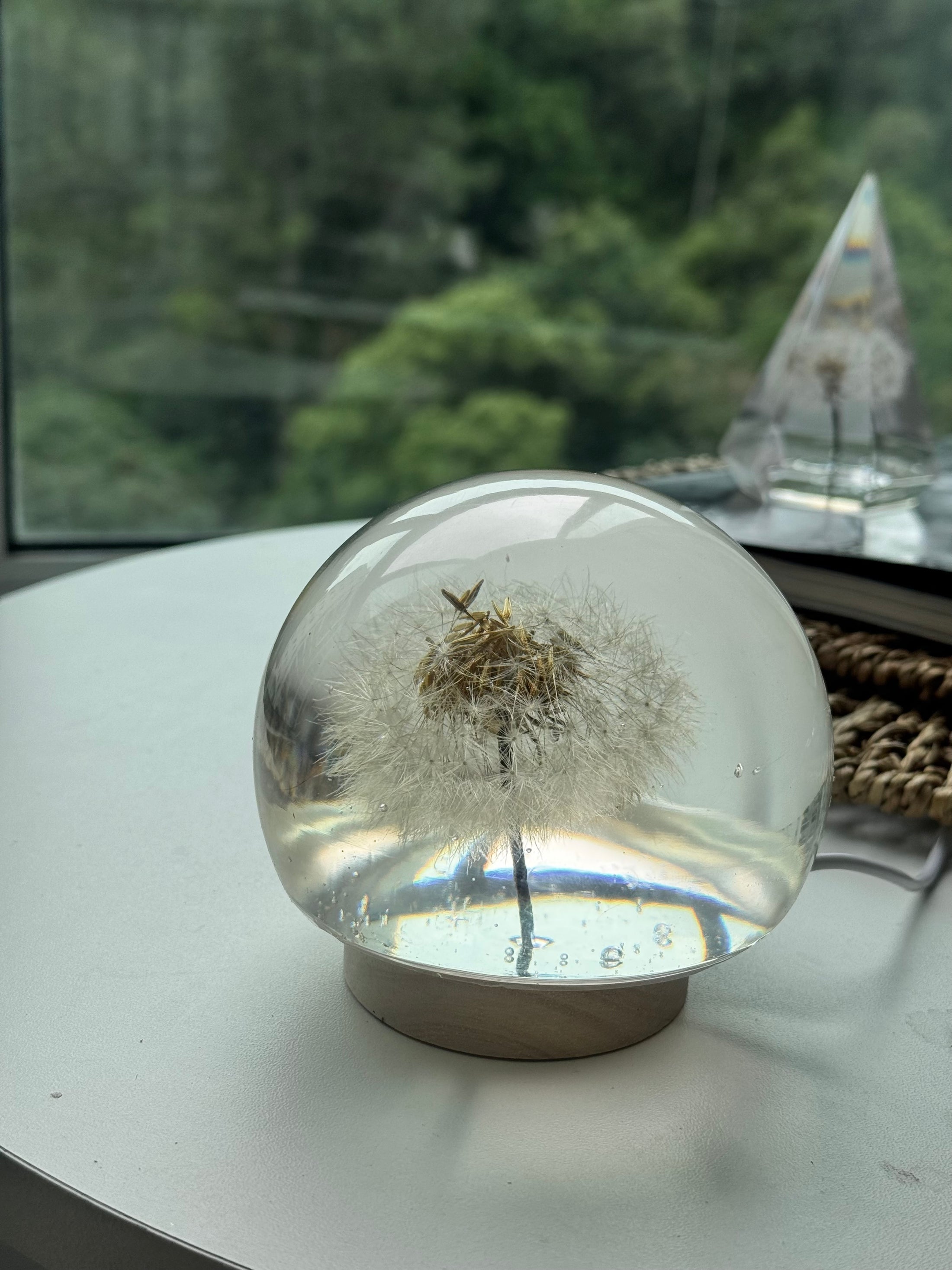[OUTLET] FINAL SALE! Large Dandelion Sphere – Imperfect Preservation