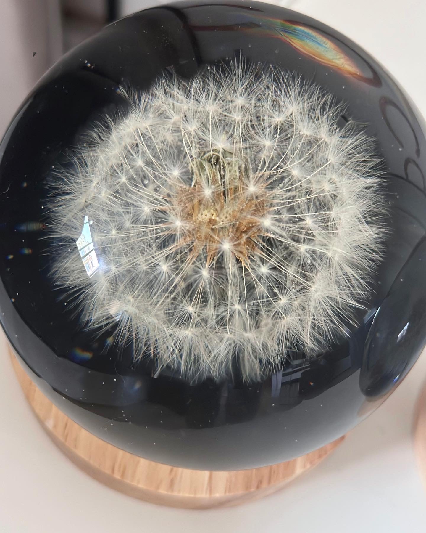 Dandelion Lamp Size M Sphere with Color
