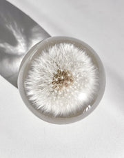 Dandelion Lamp Sphere - Choose your size