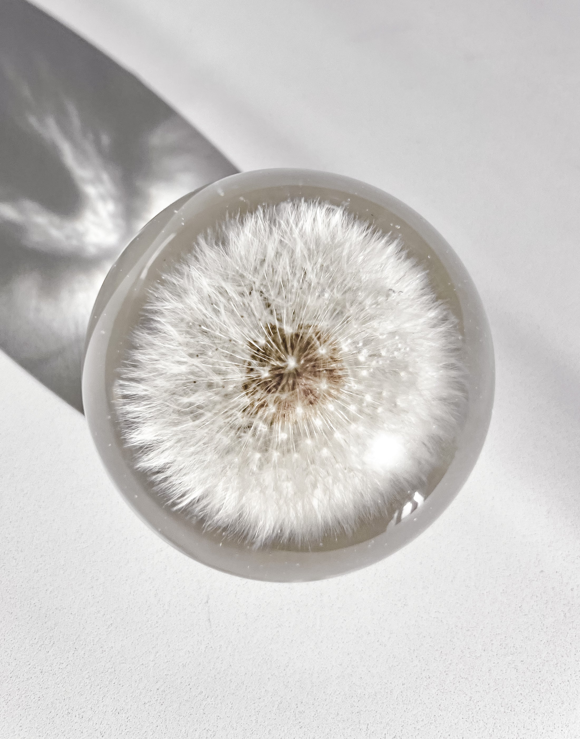 Dandelion Lamp Sphere - Choose your size
