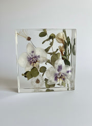 Eternal Dandelion Orchid Crystal Design Cube Lamp