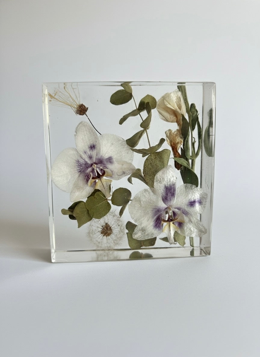 Eternal Dandelion Orchid Crystal Design Cube Lamp