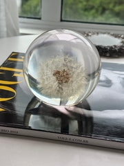 SALE - Dandelion Sphere L 1