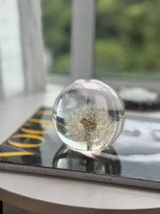 SALE - Dandelion Sphere L 1