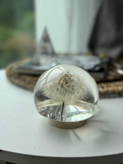 [OUTLET] FINAL SALE! Large Dandelion Sphere – Imperfect Preservation