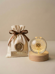 Dandelion Lamp Sphere - Choose your size