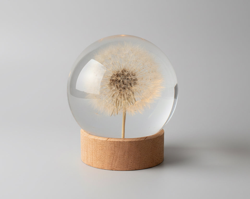 Dandelion Lamp Sphere - Choose your size