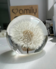 Dandelion Lamp Sphere - Choose your size