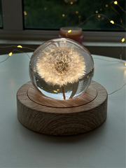 Dandelion Lamp Sphere - Choose your size