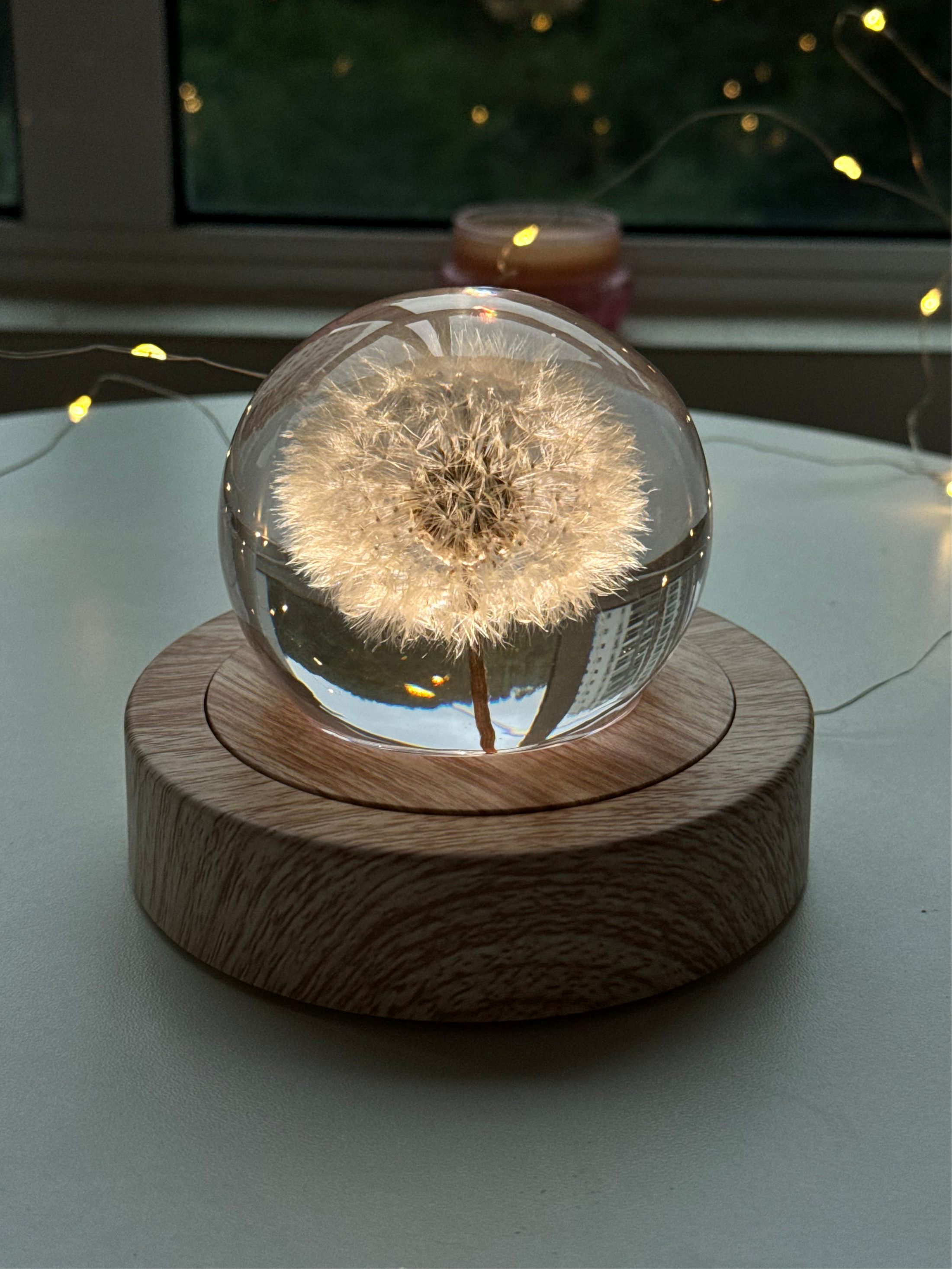 Dandelion Lamp Sphere - Choose your size
