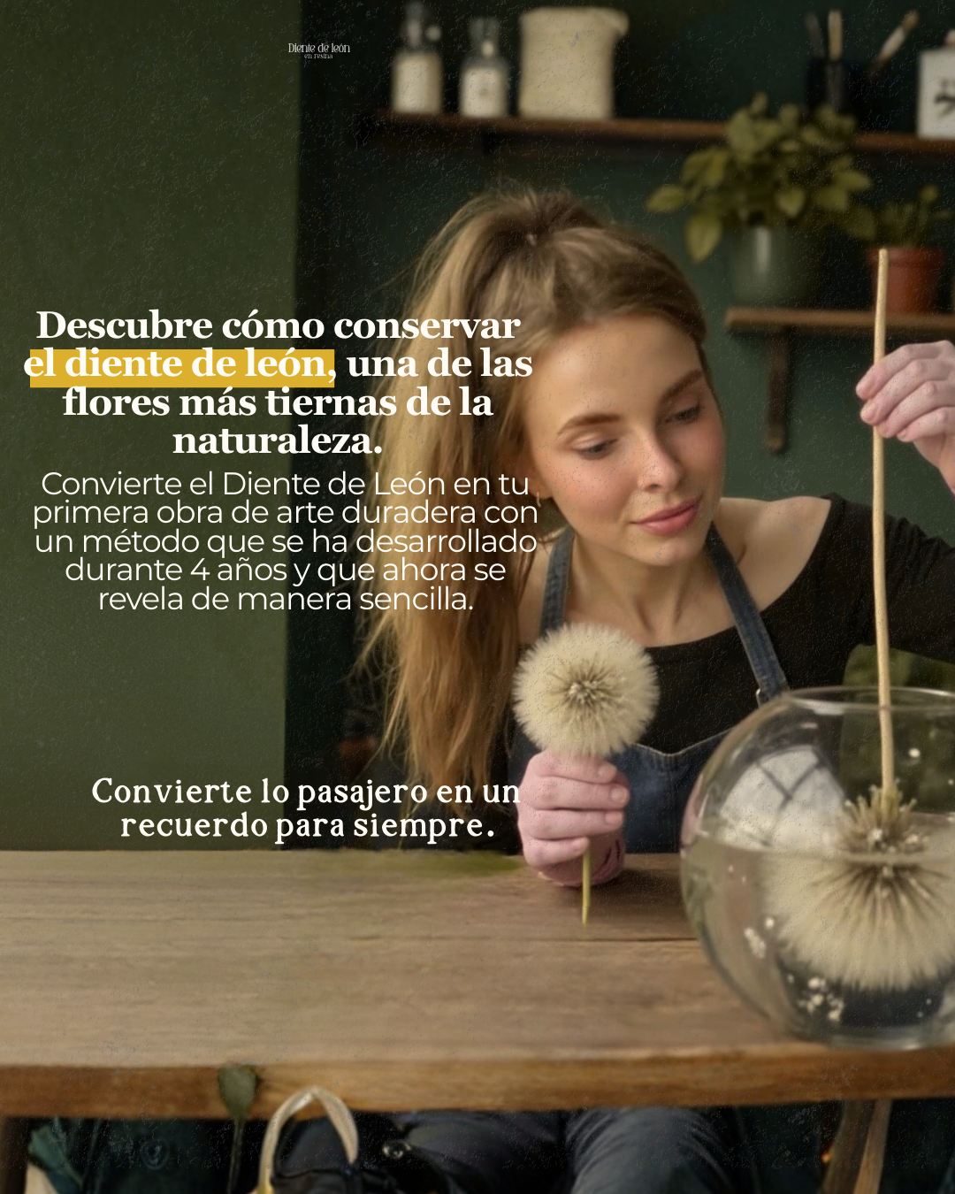ESPANOL - Ebook Conservando el Diente de León – Aprende a hacerlo eterno
