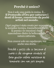 ITALIANO Ebook Preservare il Soffione – Impara a renderlo eterno