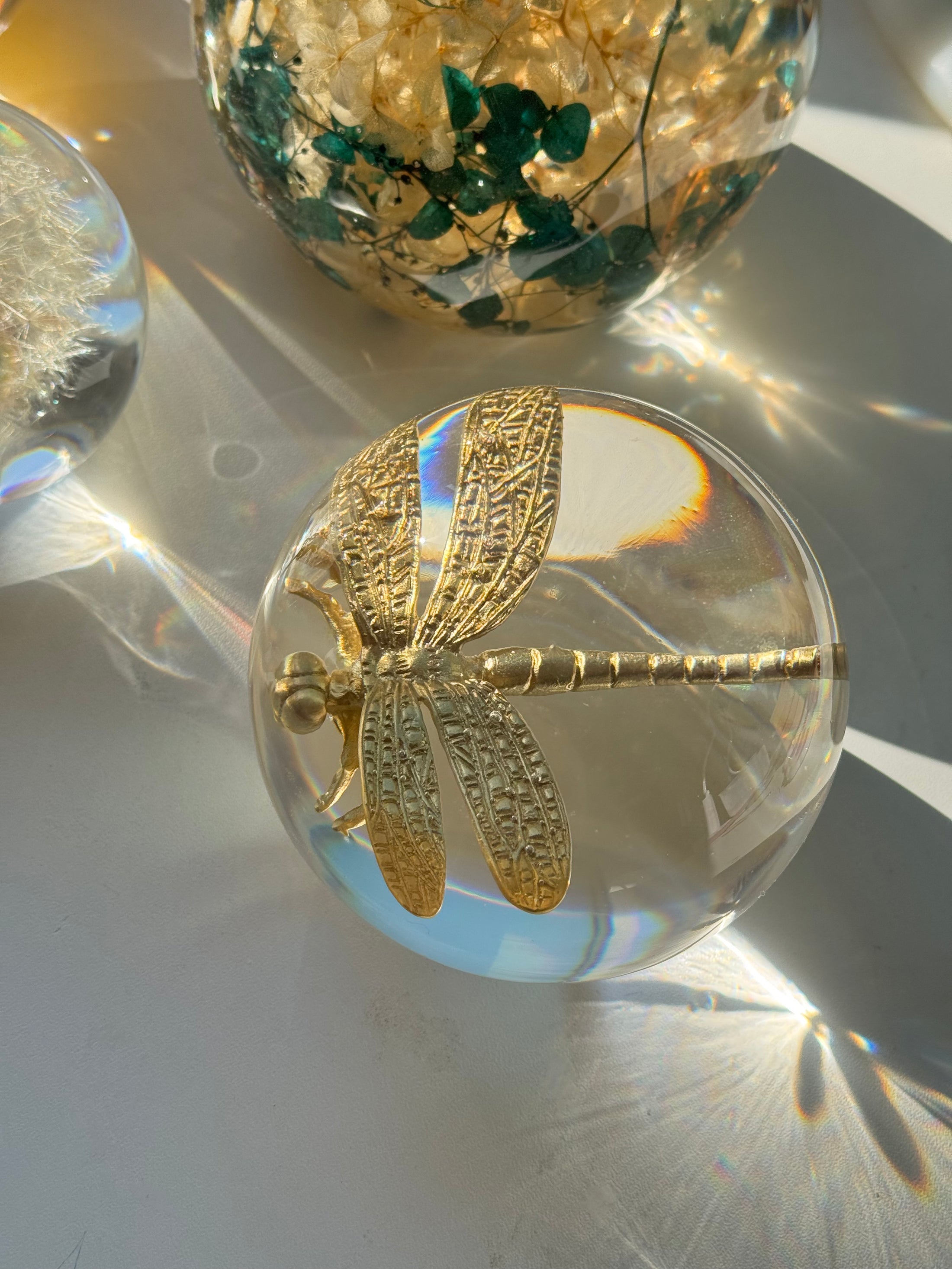Dragonfly Sphere Lamp L